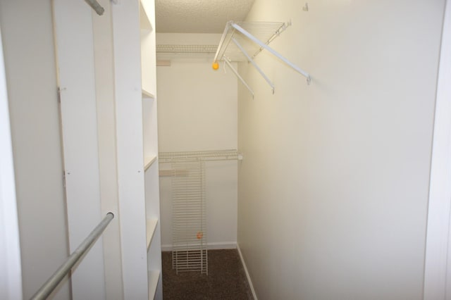 spacious closet featuring carpet