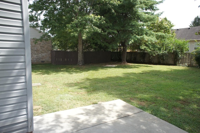 view of yard with a patio