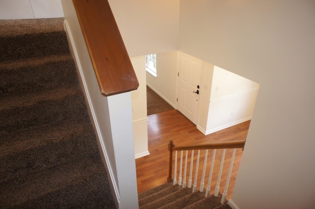 staircase with carpet