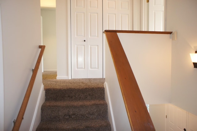 stairway with carpet floors