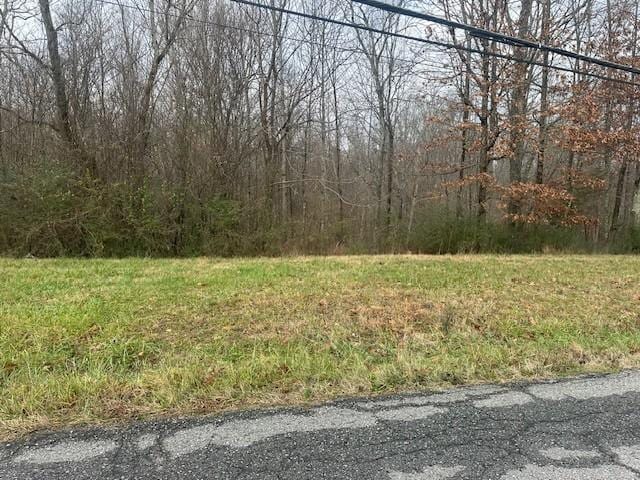 Listing photo 3 for 0 Hayes Rd, Lawrenceburg TN 38464