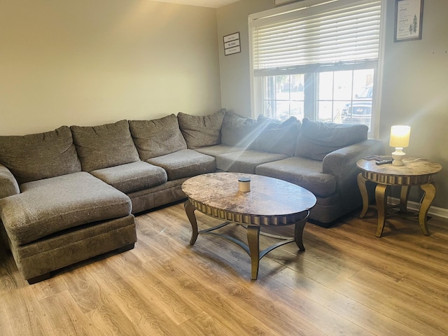 living room with light hardwood / wood-style flooring