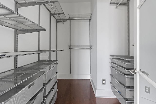 walk in closet with dark hardwood / wood-style flooring