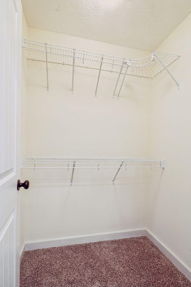 spacious closet with carpet