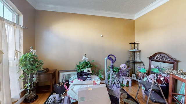 interior space featuring wood-type flooring and crown molding