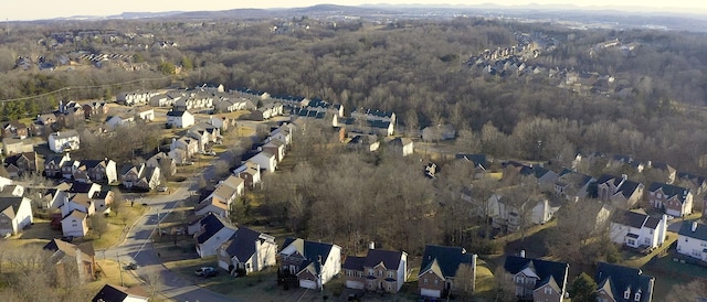 drone / aerial view