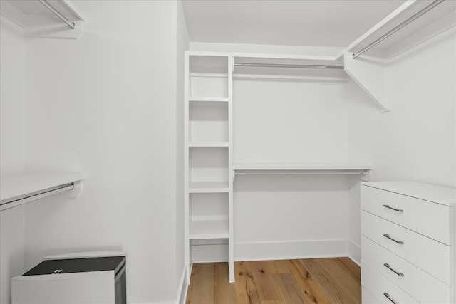 walk in closet with light hardwood / wood-style flooring