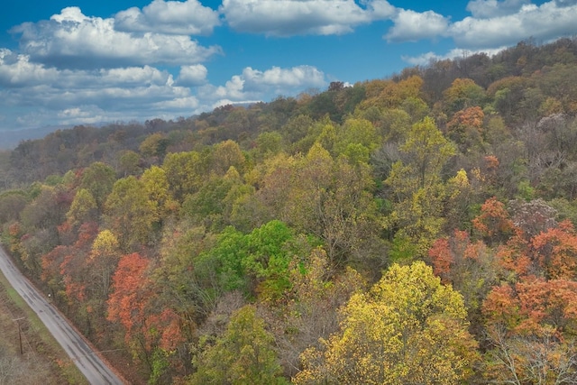 view of mountain feature