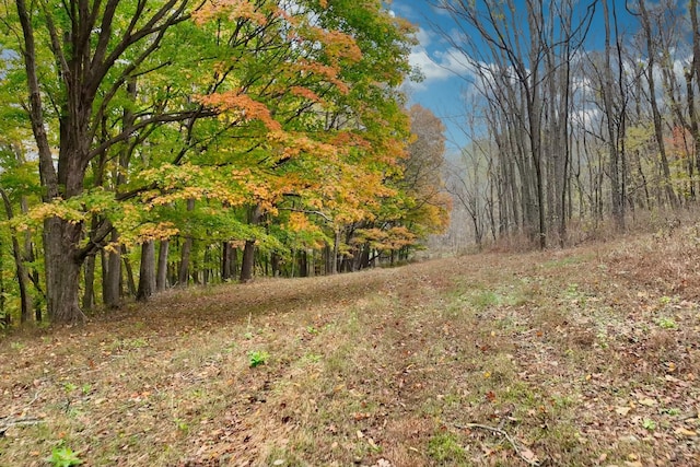 view of nature