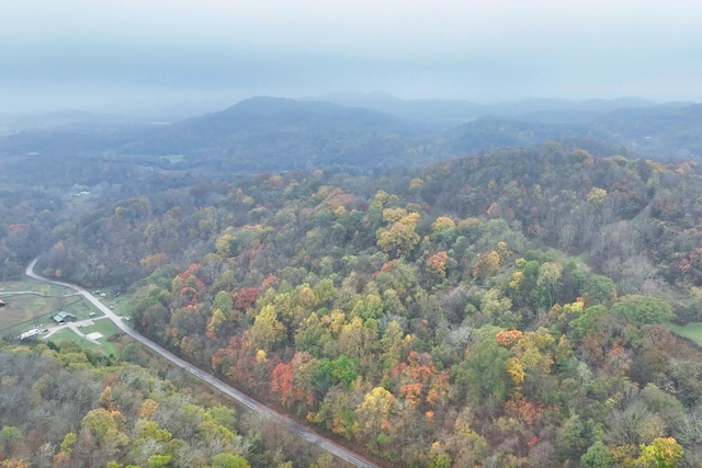 aerial view featuring a mountain view