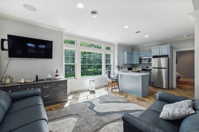 living room with sink and crown molding