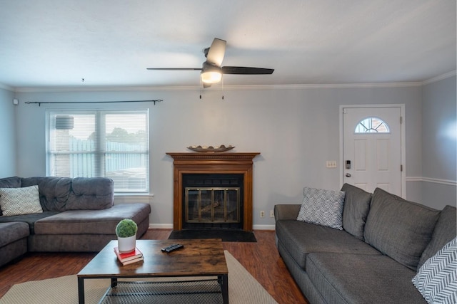 living room featuring dark hardwood / wood-style flooring, ceiling fan, and crown molding