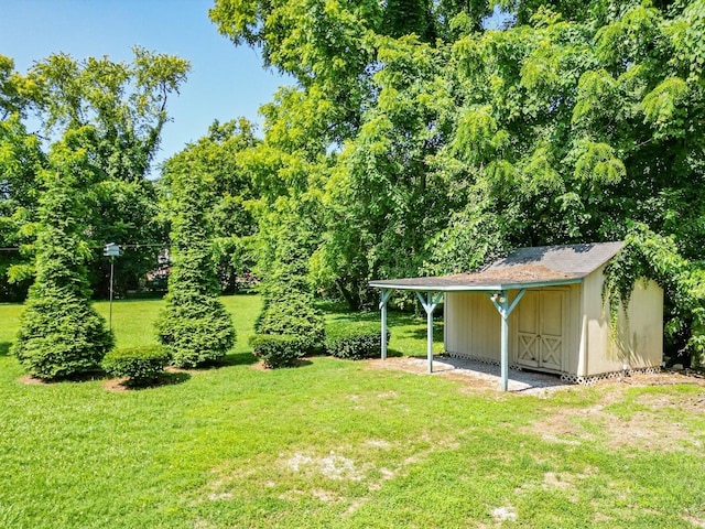 view of yard with a storage unit