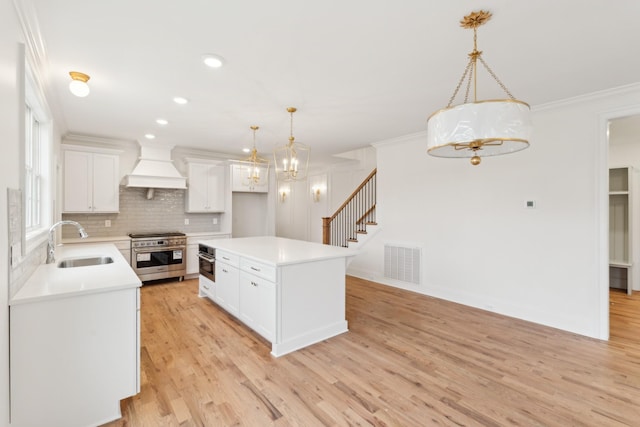 kitchen featuring white cabinetry, sink, stainless steel appliances, premium range hood, and a kitchen island