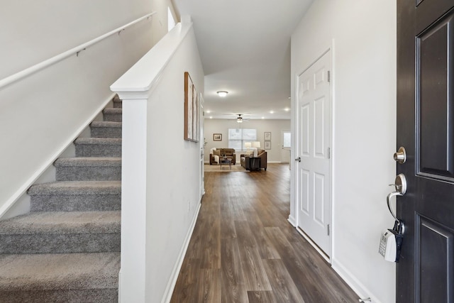 foyer featuring ceiling fan and dark wood-type flooring