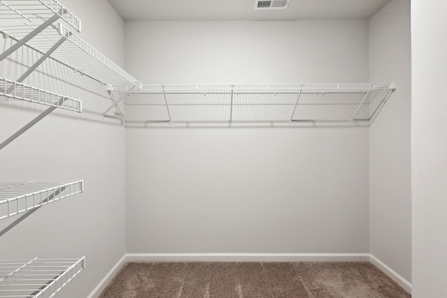 walk in closet with carpet flooring