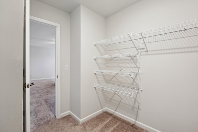 spacious closet with carpet floors