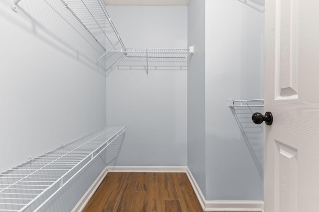 spacious closet with dark wood-type flooring