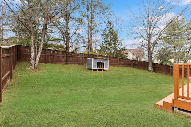 view of yard with a storage shed