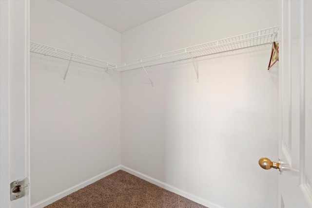 spacious closet with carpet flooring