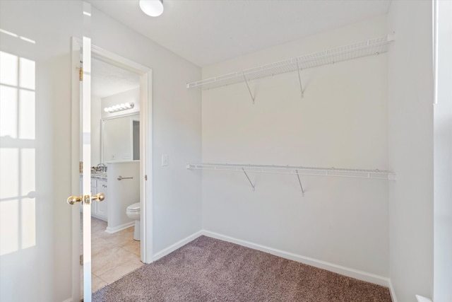 spacious closet with sink and light colored carpet