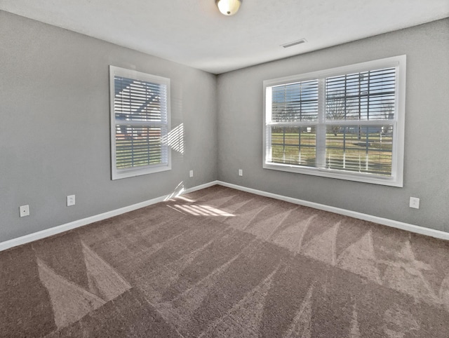 empty room with carpet flooring and a wealth of natural light