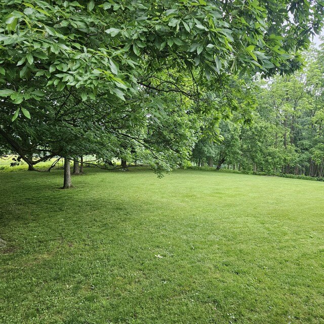 397 Lauren Ln, Westmoreland, TN 37186 - photo 46