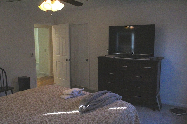 bedroom featuring ceiling fan