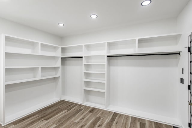 spacious closet with hardwood / wood-style flooring