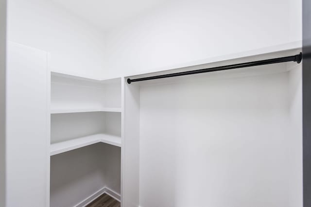 spacious closet with wood-type flooring