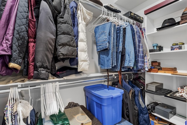 view of walk in closet