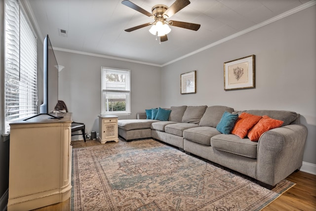 living room with hardwood / wood-style flooring, ceiling fan, and ornamental molding