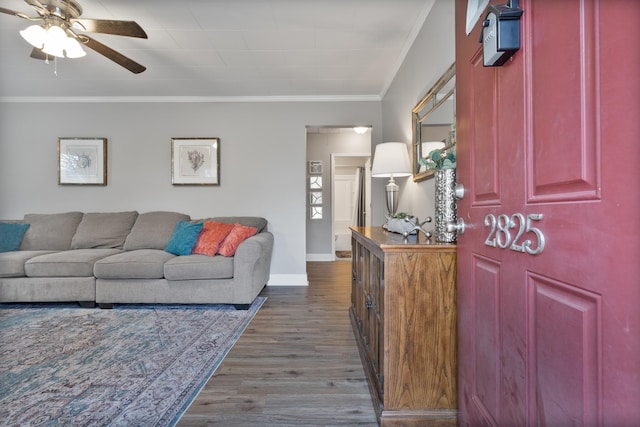 living room featuring dark hardwood / wood-style floors, ceiling fan, and ornamental molding