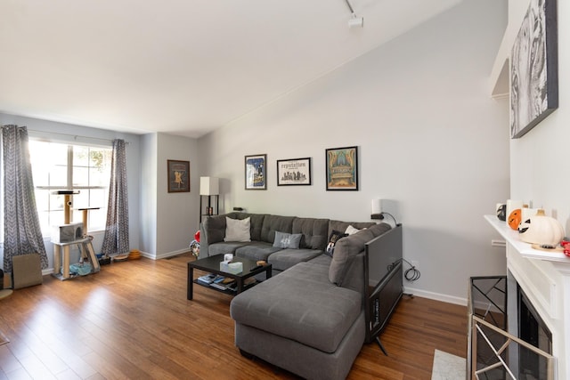 living room featuring wood-type flooring and rail lighting