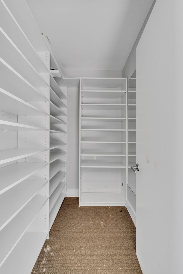 spacious closet featuring carpet floors