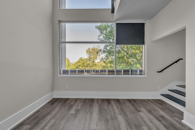 empty room featuring plenty of natural light and hardwood / wood-style flooring