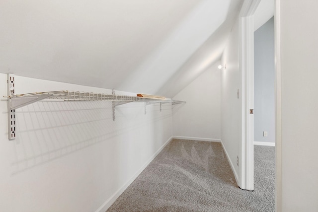 walk in closet featuring carpet and vaulted ceiling