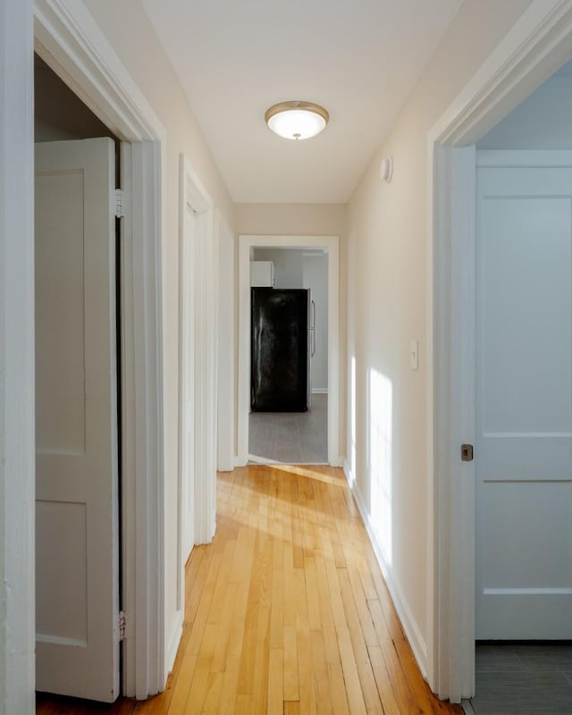 hall featuring light hardwood / wood-style floors