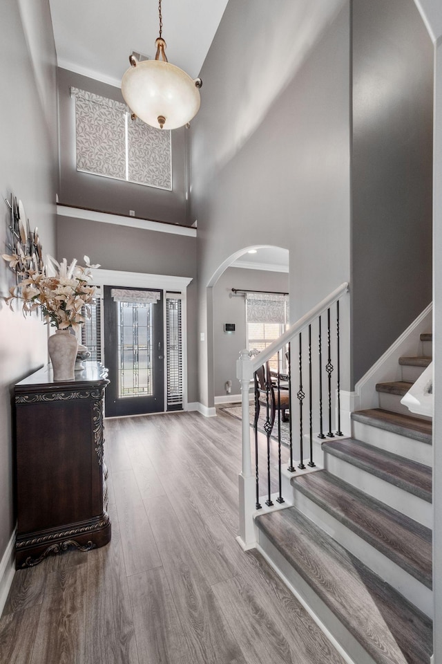 foyer featuring wood-type flooring and a high ceiling