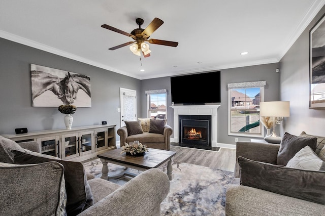 living room featuring ceiling fan, crown molding, and light hardwood / wood-style flooring