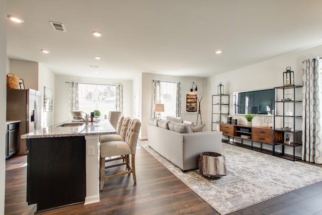 living room featuring dark hardwood / wood-style flooring and sink