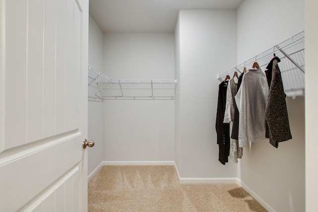 spacious closet with light colored carpet