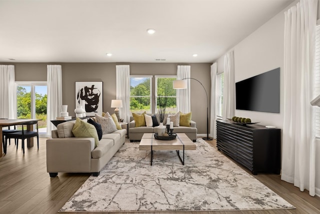 living room featuring hardwood / wood-style flooring and a wealth of natural light