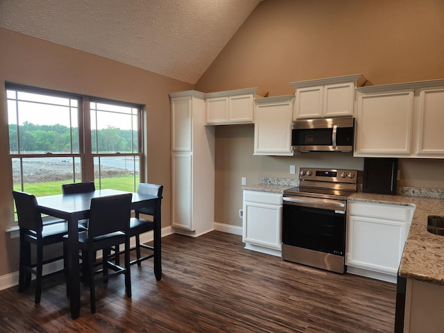 kitchen with a textured ceiling, white cabinets, appliances with stainless steel finishes, dark hardwood / wood-style flooring, and light stone counters