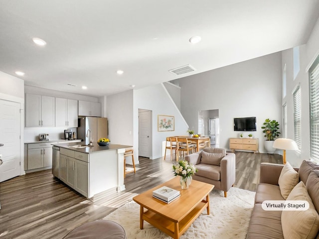 living room featuring sink and wood-type flooring