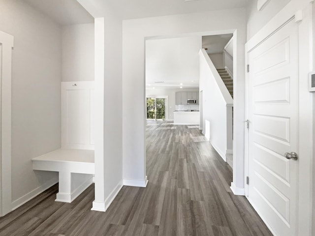 mudroom featuring dark hardwood / wood-style floors