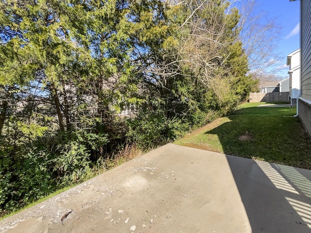 view of yard featuring a patio area