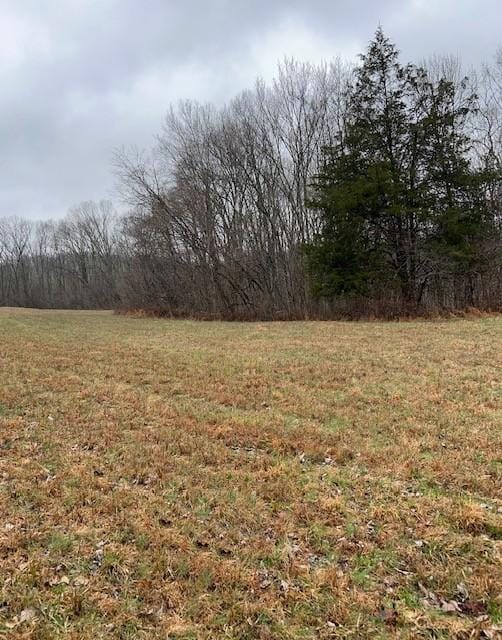 0 Red Tuttle Rd, Bethpage TN, 37022 land for sale