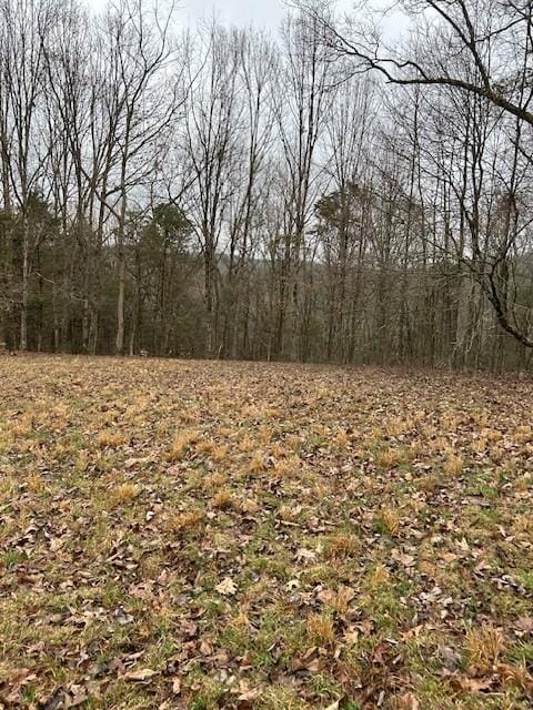 Listing photo 3 for 0 Red Tuttle Rd, Bethpage TN 37022