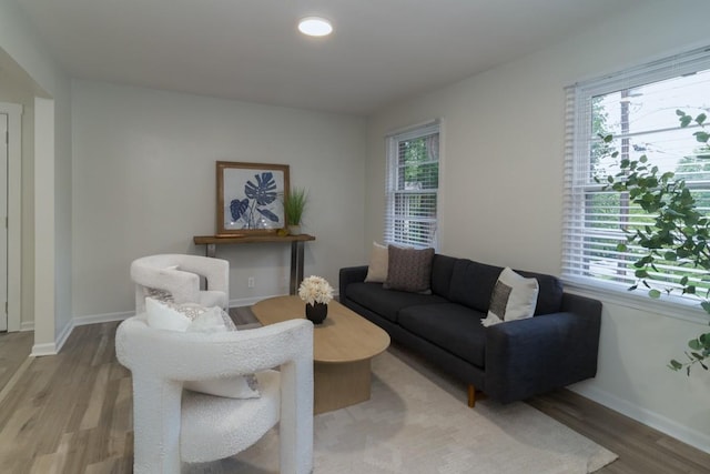 living room featuring wood-type flooring